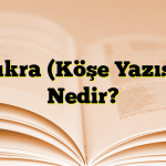  Fıkra (Köşe Yazısı) Nedir?